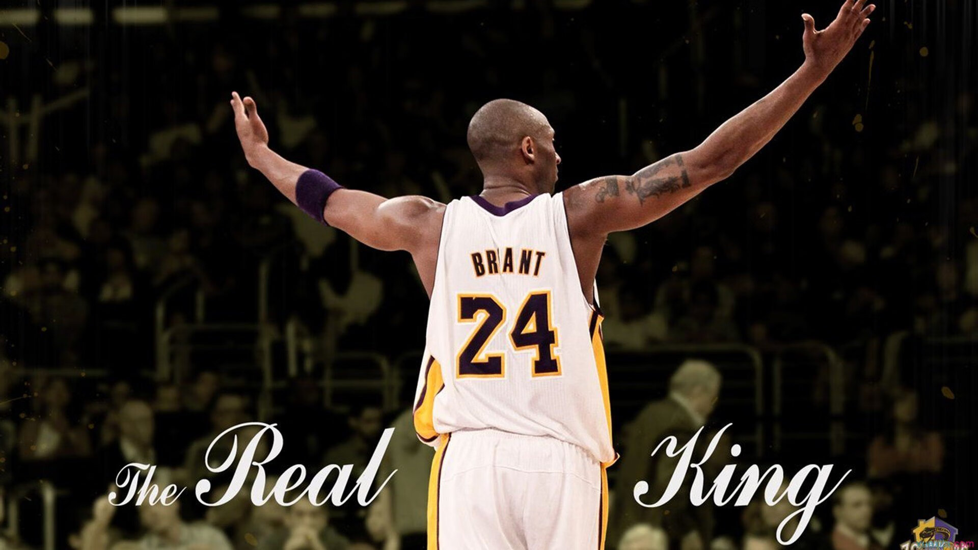 澳网2024，新星闪耀与传奇续写，墨尔本公园再掀网球狂潮