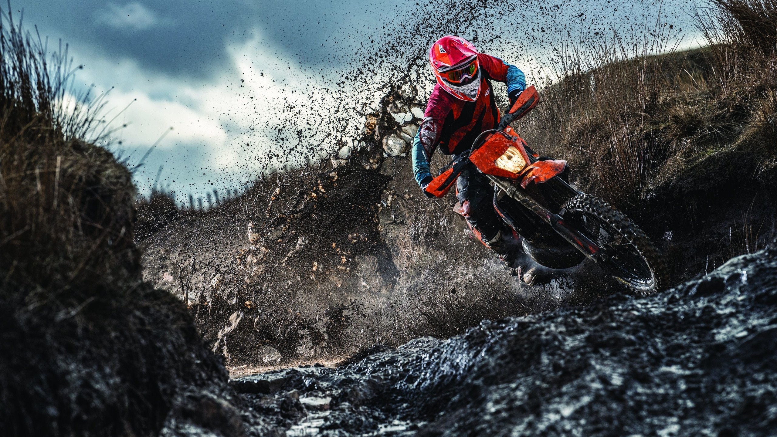 体育外交再谱新篇，中外运动员携手促进文化交流与友谊